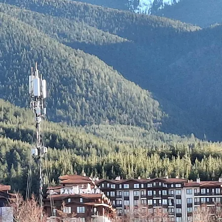 илен C411 Panorama בנסקו